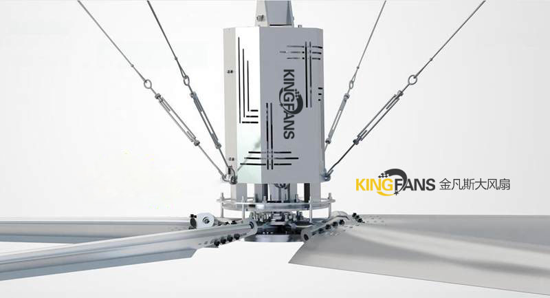 1579166599296842.jpg 4224f819-bdbc-47b9-9371-4242959ea59c.jpg