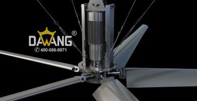 1587371617585569.jpg 1579596640671922-lp.jpg